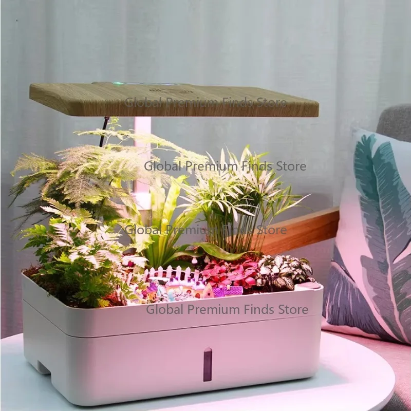 12 Pods Hydroponics Growing System, Smart Garden Planter with LED Grow Light Herb Plants Germination Kit with Pump and Grow Lamp
12 Pods Hydroponics Growing System, Smart Garden Planter with LED Grow Light Herb Plants Germination Kit with Pump and Grow Lamp