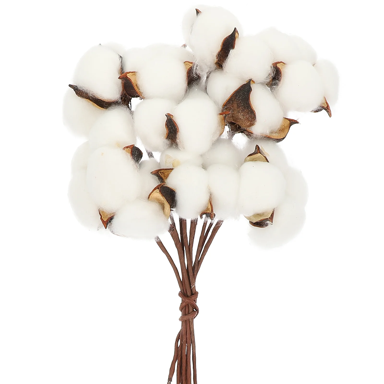 1Set Natural Dried Cotton Flower Branch White Picks DIY Artificial Flower Bouquet lliving room ornament home deco
1Set Natural Dried Cotton Flower Branch White Picks DIY Artificial Flower Bouquet lliving room ornament home deco