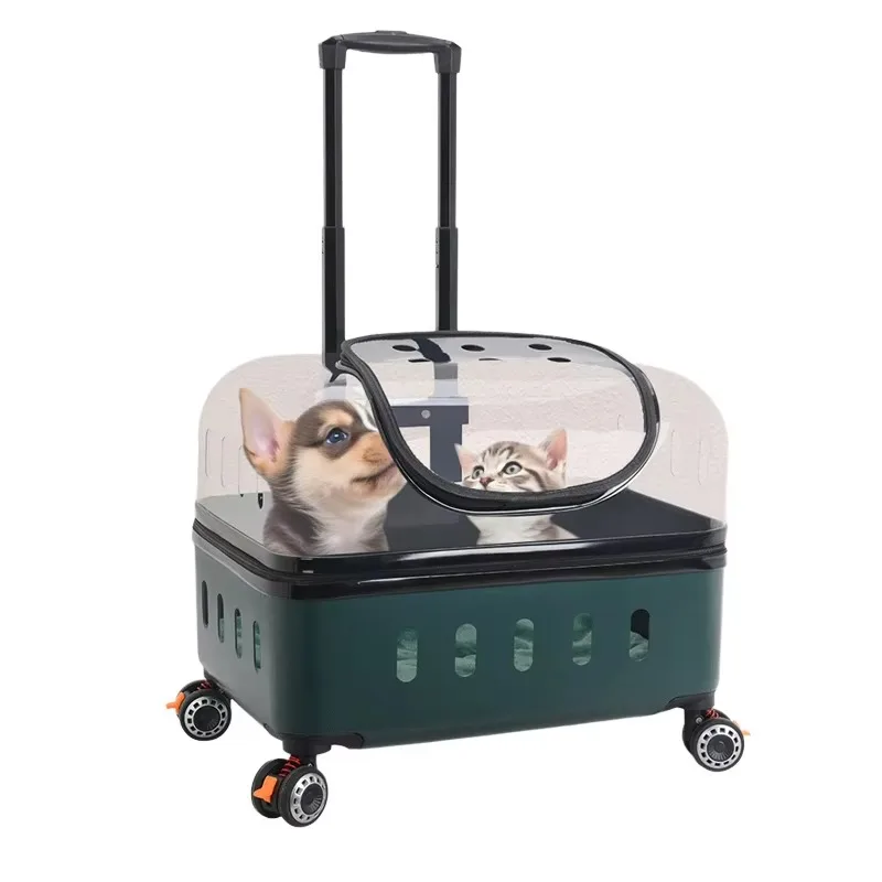 Large Capacity Portable Pet Trolley Box Universal Wheels Breathable Transparent Backpack Zipper Closure Made Durable Plastic
Large Capacity Portable Pet Trolley Box Universal Wheels Breathable Transparent Backpack Zipper Closure Made Durable Plastic