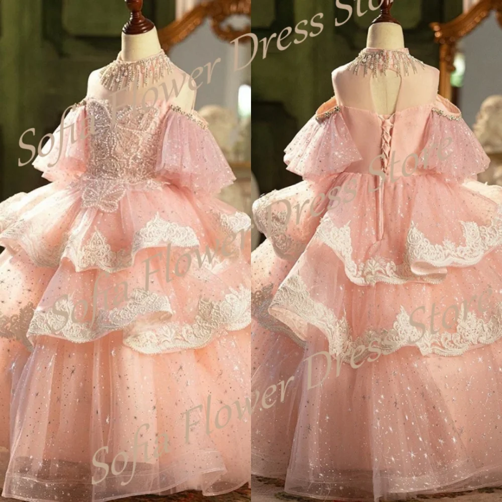 Luxury Princess Pink Sparkling Flower Girl Dress Beading Lace Appliques Sequined A-Line Tiered Dresses First Communion Gowns
Luxury Princess Pink Sparkling Flower Girl Dress Beading Lace Appliques Sequined A-Line Tiered Dresses First Communion Gowns