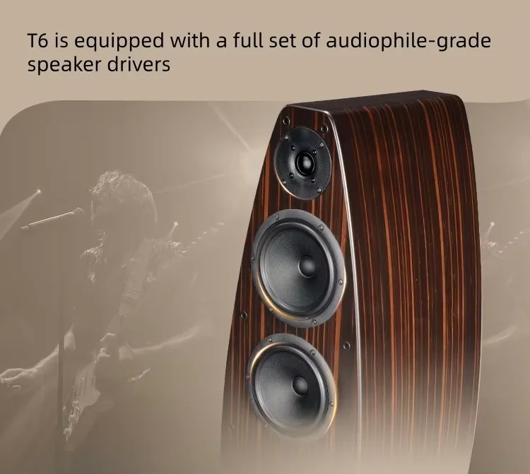 T6 Dual 6.5-Inch Loudspeakers Wooden Enclosure Passive Hi-Fi Tower for Home Theater & Living Room Audio
T6 Dual 6.5-Inch Loudspeakers Wooden Enclosure Passive Hi-Fi Tower for Home Theater & Living Room Audio