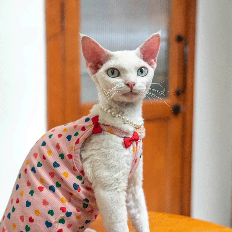 2026 New Delist German Cat Clothes, Hairless Cat Sphynx Camisole Belly Protector with Bow Vest Pet Supplies Cat Vest
2026 New Delist German Cat Clothes, Hairless Cat Sphynx Camisole Belly Protector with Bow Vest Pet Supplies Cat Vest