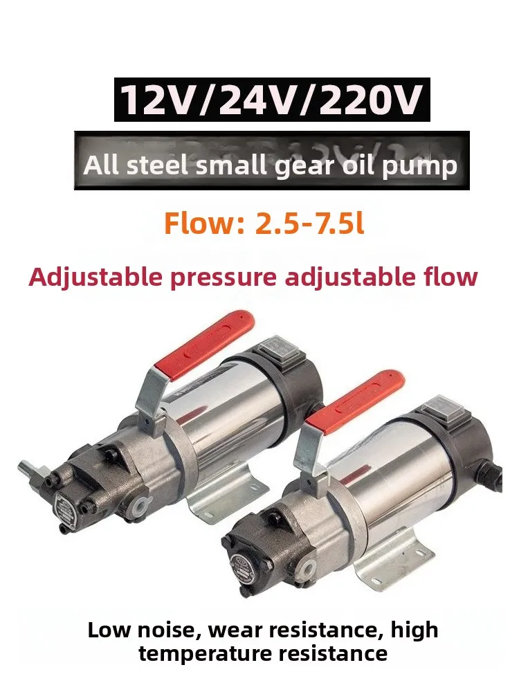 Small DC motor oil pump 12V/24V220V gear oil pump Electric cycloid pump pumping hydraulic oil gear reducer
Small DC motor oil pump 12V/24V220V gear oil pump Electric cycloid pump pumping hydraulic oil gear reducer