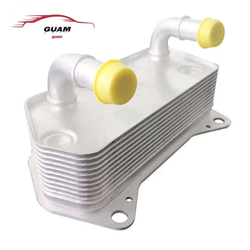 02E409061B 02E409061D 02E409061E 376797181 Transmission Oil Cooler For AUDI A3 Beetle CC EOS GTI Jetta Passat 2006-2016
02E409061B 02E409061D 02E409061E 376797181 Transmission Oil Cooler For AUDI A3 Beetle CC EOS GTI Jetta Passat 2006-2016