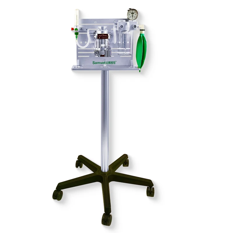 Factory Veterinary Anestesia Machine Portable Veterinary Anesthesia with Vaporizer Dog Clinic Anestesia Veterinariav hospital
Factory Veterinary Anestesia Machine Portable Veterinary Anesthesia with Vaporizer Dog Clinic Anestesia Veterinariav hospital