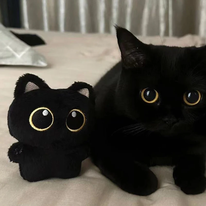Keychain Cinnamoroll Anime Black Cat Big Eyes Stuffed Plush Toys Mini Muñeca De Peluche Kawaii Black Cat Toys For Girls Gifts
Keychain Cinnamoroll Anime Black Cat Big Eyes Stuffed Plush Toys Mini Muñeca De Peluche Kawaii Black Cat Toys For Girls Gifts
