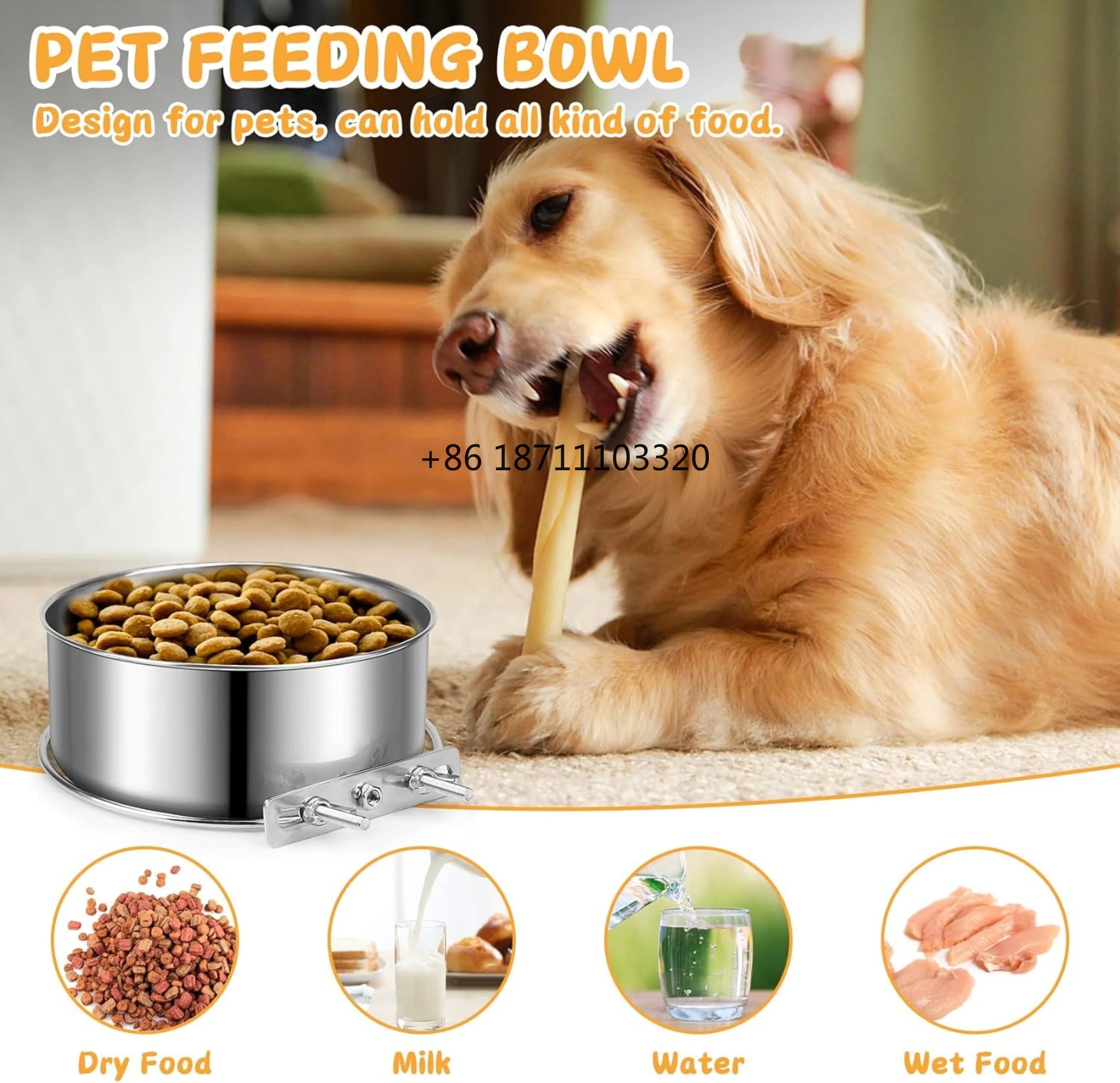 Durable No Spill 2pcs Stainless Steel Pet Water Bowl for Cage Kennel Crate, Detachable Hanging Dog Bowl with Clamp Holder
Durable No Spill 2pcs Stainless Steel Pet Water Bowl for Cage Kennel Crate, Detachable Hanging Dog Bowl with Clamp Holder