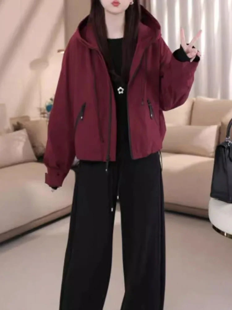 Утепленная хлопковая куртка Sli Thiened: женская повседневная свободная ветрозащитная куртка на молнии с капюшоном в корейском стиле, осень-зима, новинка
Утепленная хлопковая куртка Sli Thiened: женская повседневная свободная ветрозащитная куртка на молнии с капюшоном в корейском стиле, осень-зима, новинка