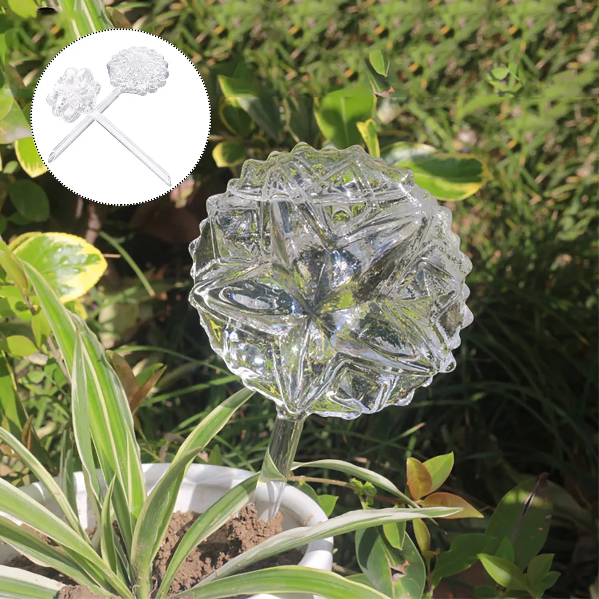 2 Pcs Outdoor Plant Watering Device Planter Globes Practical Tool Glass Plants Dispensers
2 Pcs Outdoor Plant Watering Device Planter Globes Practical Tool Glass Plants Dispensers