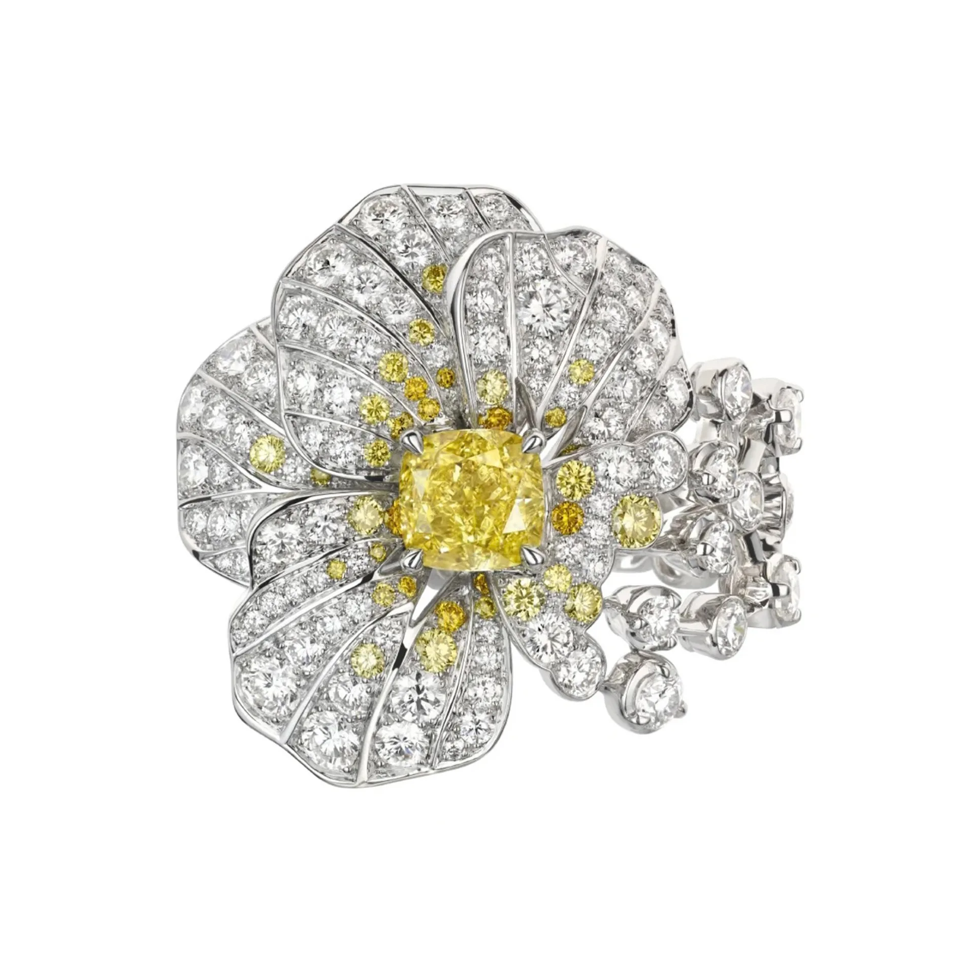 Wholesale 925 Silver Plated High Carbon Diamond Cultivated Yellow Diamond Women's Ring
Wholesale 925 Silver Plated High Carbon Diamond Cultivated Yellow Diamond Women's Ring