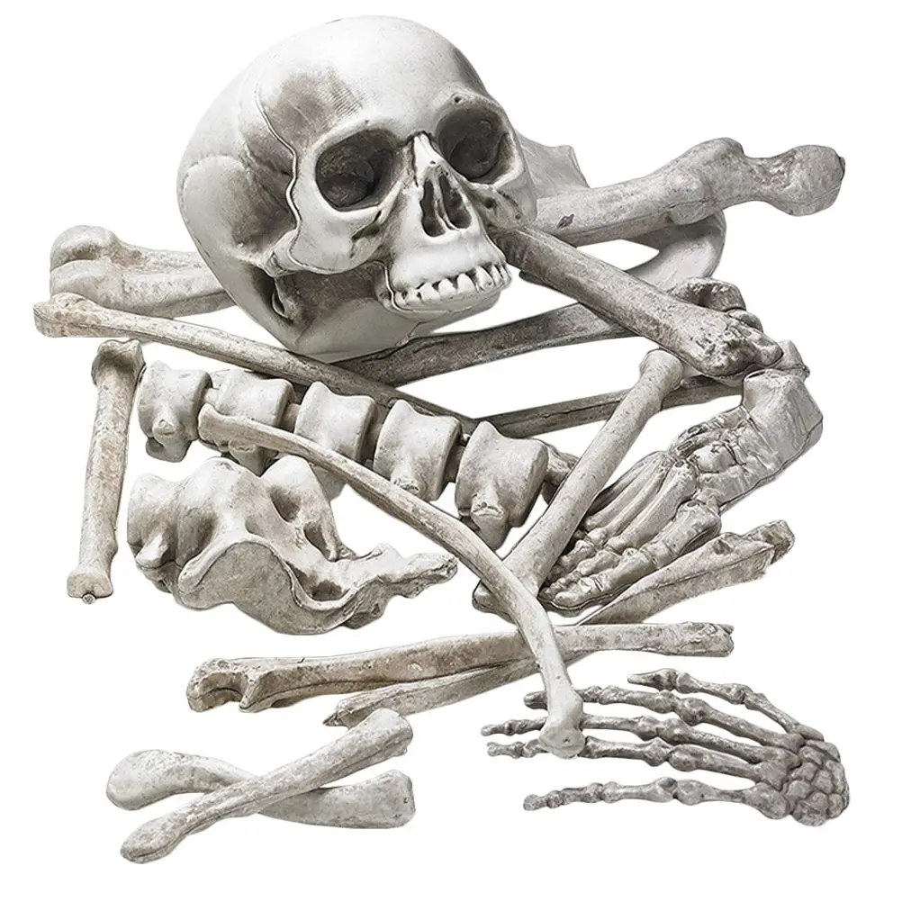 19pcs White Realistic Skeleton Bones Set for Halloween Decoration Creepy Plastic Bone PropsHaunted House Party Display DIY
19pcs White Realistic Skeleton Bones Set for Halloween Decoration Creepy Plastic Bone PropsHaunted House Party Display DIY