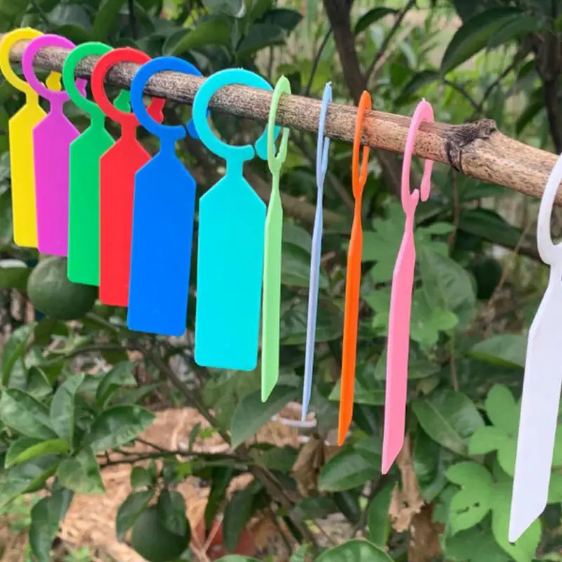 Plant Labels For Outdoor Garden Waterproof Garden Markers For Plant 300PCS Plant Tree Tags Ring Tag Hangable Plant Labels Plant
Plant Labels For Outdoor Garden Waterproof Garden Markers For Plant 300PCS Plant Tree Tags Ring Tag Hangable Plant Labels Plant