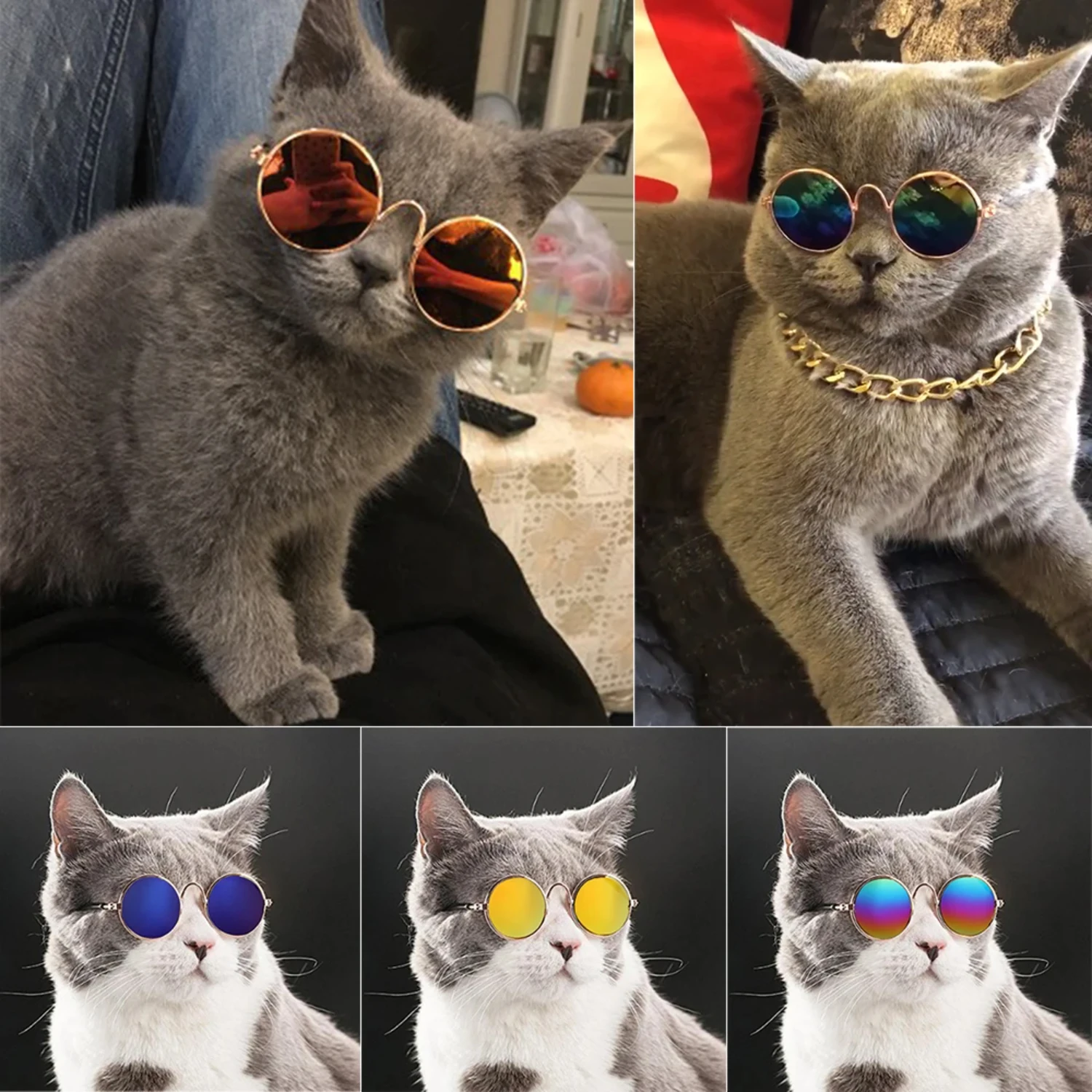 ompanion. Opt for chic and durable pet products that will elevate your pet's aesthetic while also providing comfort and convenie
ompanion. Opt for chic and durable pet products that will elevate your pet's aesthetic while also providing comfort and convenie