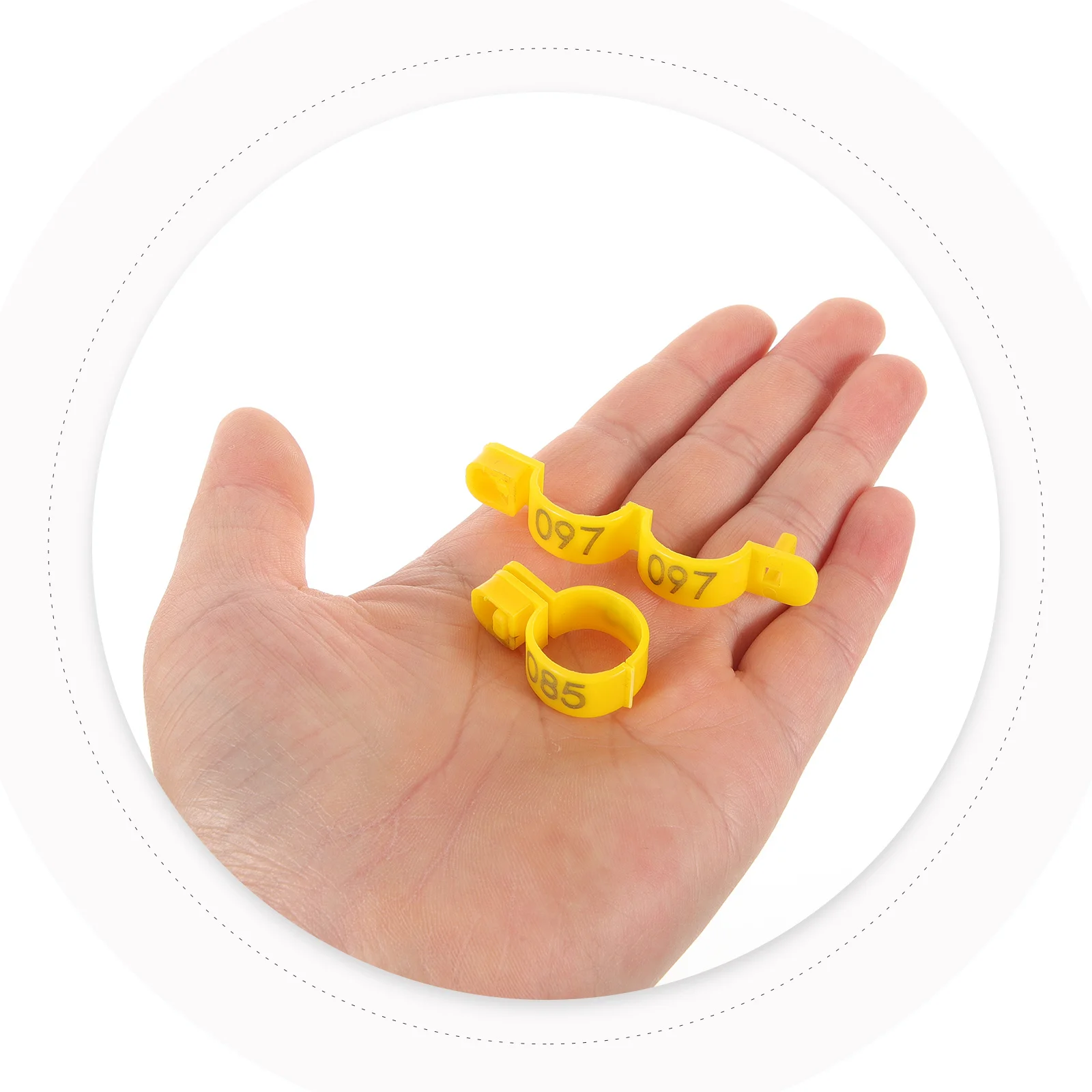 100 Pcs Disposable Chicken Leg Ring Bands for Chicks Foot Bird Poultry Rings Yellow Identification Adjustable
100 Pcs Disposable Chicken Leg Ring Bands for Chicks Foot Bird Poultry Rings Yellow Identification Adjustable