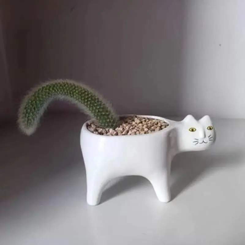 Monkey Tail Pillar Nine tailed Fox Potted Cat Tail Art Flower Pot Desktop Green Plants Cartoon Cat Plants New Potted Plants
Monkey Tail Pillar Nine tailed Fox Potted Cat Tail Art Flower Pot Desktop Green Plants Cartoon Cat Plants New Potted Plants