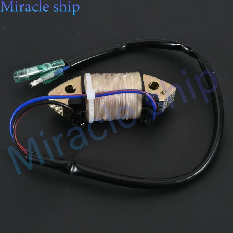 Катушка возбуждения 3AA-06021-0 Подвесной двигатель для 4-тактного двигателя Tohatsu 8HP 9,8HP MFS8A2 MFS8A3 MFS9.8A2 MFS9.8A2 3AA-06021
Катушка возбуждения 3AA-06021-0 Подвесной двигатель для 4-тактного двигателя Tohatsu 8HP 9,8HP MFS8A2 MFS8A3 MFS9.8A2 MFS9.8A2 3AA-06021