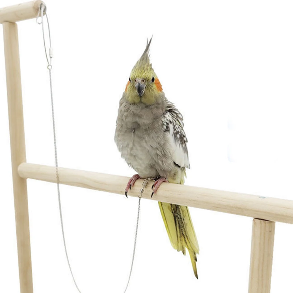 Ring Stainless Steel Leg Rings Bird Harness Leash for Conures Wiring Anklets Foot Small Birds Silver
Ring Stainless Steel Leg Rings Bird Harness Leash for Conures Wiring Anklets Foot Small Birds Silver