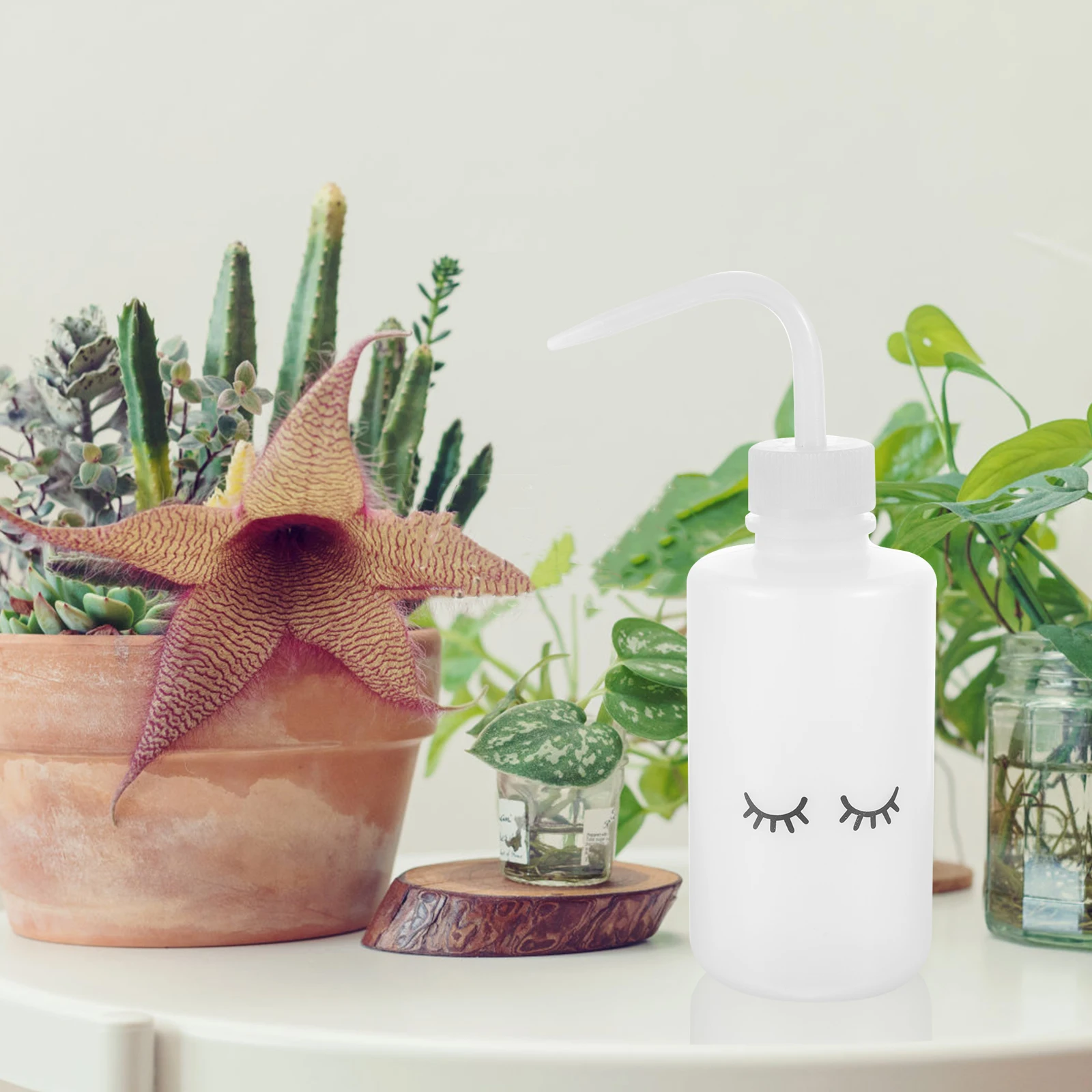 4pcs Bend Mouth Bottle 250ml Transparent Squeeze Bottles for Plant Watering Eyelash Cleaning Empty Plastic Garden Tool
4pcs Bend Mouth Bottle 250ml Transparent Squeeze Bottles for Plant Watering Eyelash Cleaning Empty Plastic Garden Tool