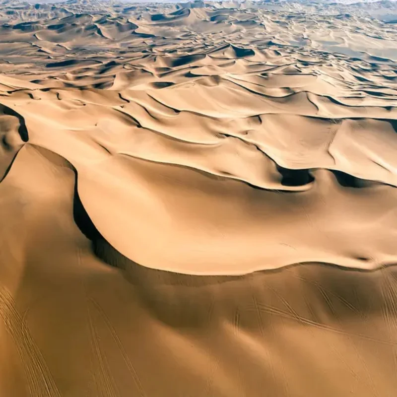 Radiolink R9DS 10CH 2.4GHz RC Receiver SBUS PWM Long Range Control for Airplane Car Multirotors Fit AT9 AT10 AT9S AT10II
Radiolink R9DS 10CH 2.4GHz RC Receiver SBUS PWM Long Range Control for Airplane Car Multirotors Fit AT9 AT10 AT9S AT10II