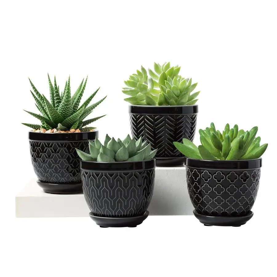 Ceramic Plant Pots, 4.7 Inch Flower Pots for Indoor Plants, Succulent Pots with Saucer and Drainage Hole, Decorative Planter for
Ceramic Plant Pots, 4.7 Inch Flower Pots for Indoor Plants, Succulent Pots with Saucer and Drainage Hole, Decorative Planter for