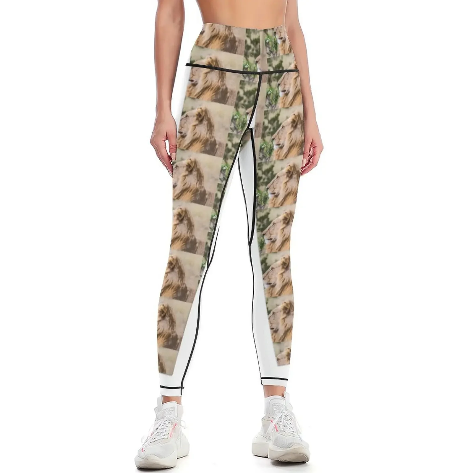 Male Lion, Maasai Mara, Kenya Leggings Tight fitting woman sport set sport legging Golf wear Womens Leggings 
Male Lion, Maasai Mara, Kenya Leggings Tight fitting woman sport set sport legging Golf wear Womens Leggings