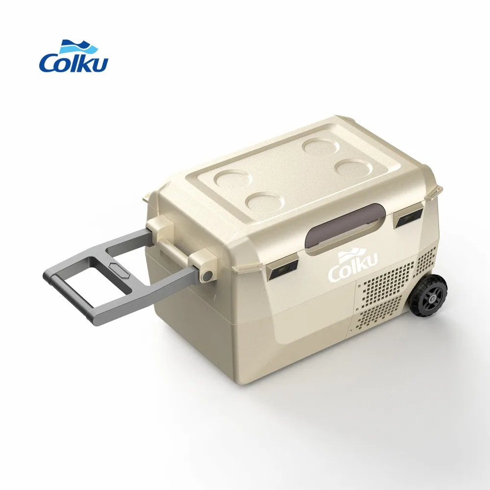 New Design 12V 24V Dc Travel Fridge Freezer 26L Portable Freezer Refrigerator With Mobile Connection
New Design 12V 24V Dc Travel Fridge Freezer 26L Portable Freezer Refrigerator With Mobile Connection