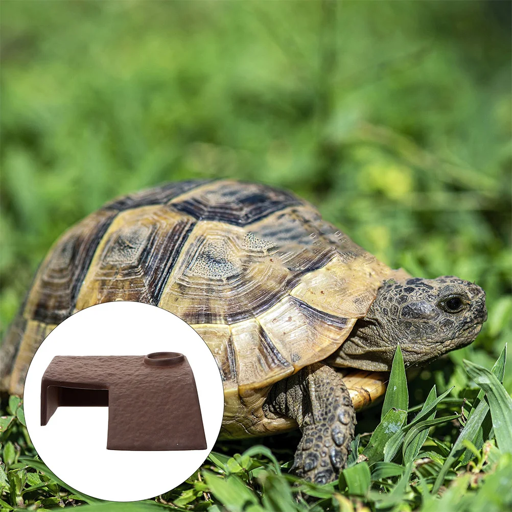 Turtle Habitat Basking Platform with Ladder Resting Platform Aquarium Turtle Tank Fish Tank Fish Shelter
Turtle Habitat Basking Platform with Ladder Resting Platform Aquarium Turtle Tank Fish Tank Fish Shelter