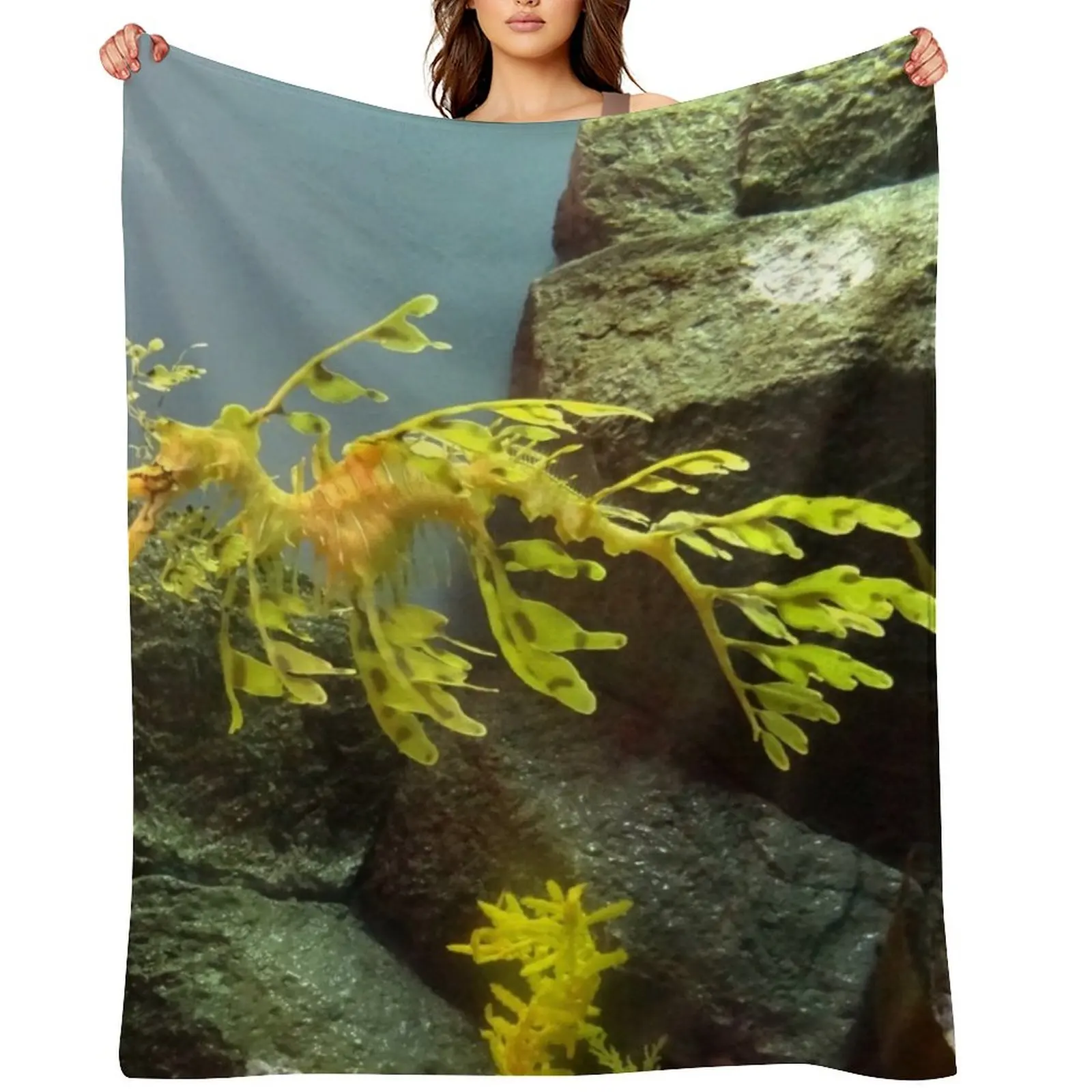 Leafy Sea Dragon with Rocks Throw Blanket decorative Camping Furry Bed Fashionable Blankets
Leafy Sea Dragon with Rocks Throw Blanket decorative Camping Furry Bed Fashionable Blankets