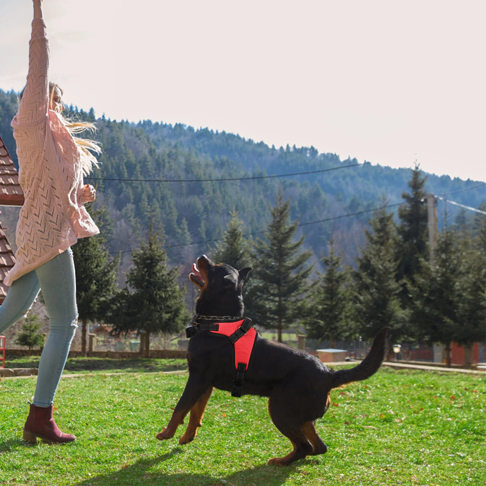Pet Harness Dog for Walking Puppy Mesh Clothing with Quick-release Buckle Large Durable Running 
Pet Harness Dog for Walking Puppy Mesh Clothing with Quick-release Buckle Large Durable Running