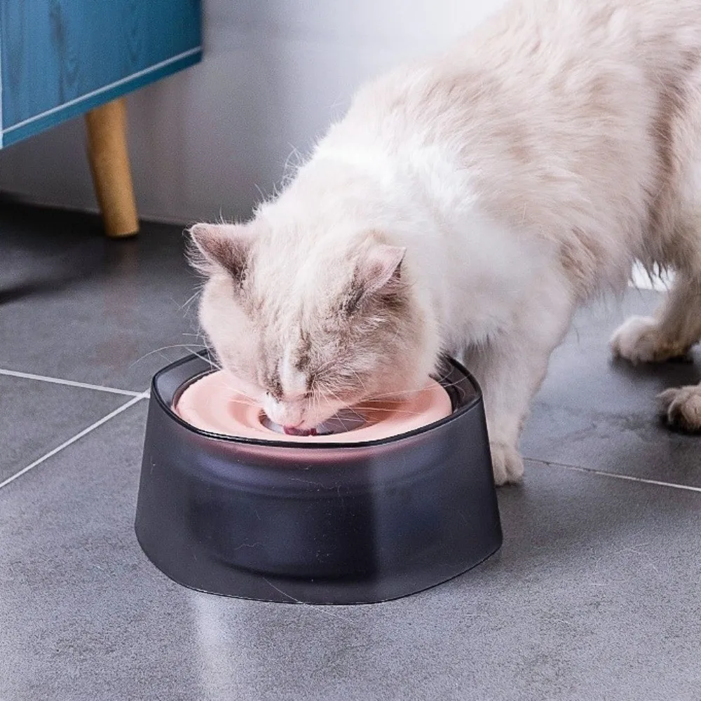 Плавающая миска для воды для собак с защитой от опрокидывания, съемный нескользящий контейнер для питья для собак, пластиковая поилка для домашних животных, кормление домашних животных
Плавающая миска для воды для собак с защитой от опрокидывания, съемный нескользящий контейнер для питья для собак, пластиковая поилка для домашних животных, кормление домашних животных