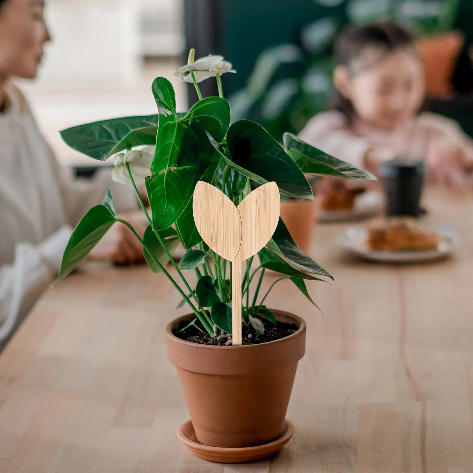 20pcs Leaf Shape Plant Labels Wooden Garden Markers Flower Tags for Nursery Pots Greenhouses Durable Plant Classification Signs
20pcs Leaf Shape Plant Labels Wooden Garden Markers Flower Tags for Nursery Pots Greenhouses Durable Plant Classification Signs