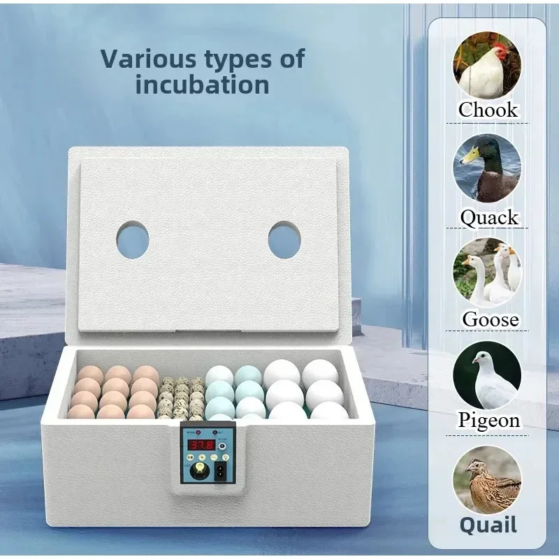 24-hour Thermostatic Small Poultry Egg Incubator Biomimetic Waterbed Fully Automatic Incubator Intelligent Chicken Duck Goose
24-hour Thermostatic Small Poultry Egg Incubator Biomimetic Waterbed Fully Automatic Incubator Intelligent Chicken Duck Goose