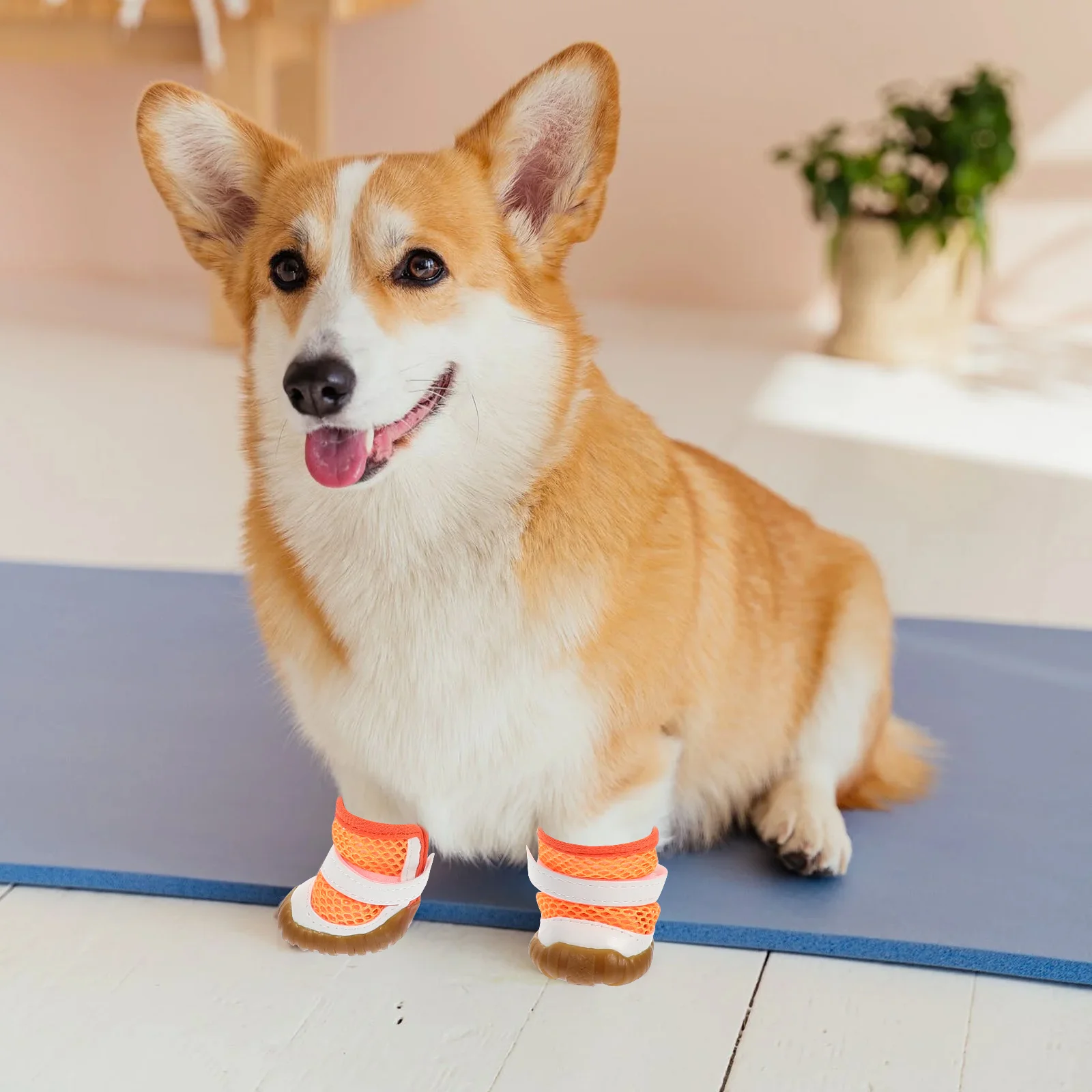 4Pcs Summer Pet Shoes Wear-Resistant Dog Boots Breathable Protective Puppy Shoes Outdoor Dog Accessory
4Pcs Summer Pet Shoes Wear-Resistant Dog Boots Breathable Protective Puppy Shoes Outdoor Dog Accessory