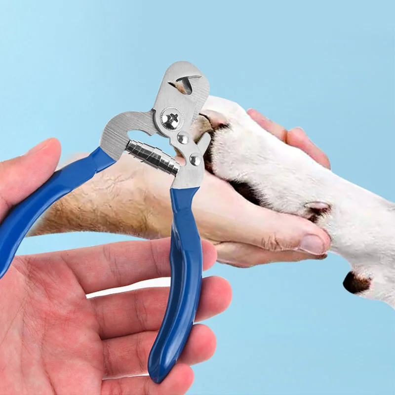 Nail Clippers for Pet Grooming Puppy Cat Dog Nail Clippers Pet Nail Spring Clippers for Dogs and Cats Suitable for Beginners
Nail Clippers for Pet Grooming Puppy Cat Dog Nail Clippers Pet Nail Spring Clippers for Dogs and Cats Suitable for Beginners