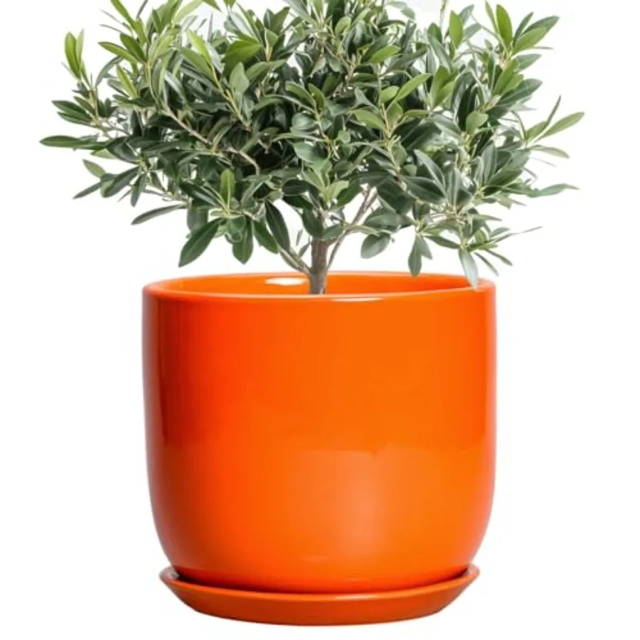 Ceramic Pot for Plants - Plant Pot with Drainage Hole and Saucer Cylinder Modern Round Planter for Indoor Outdoor Plants Housew
Ceramic Pot for Plants - Plant Pot with Drainage Hole and Saucer Cylinder Modern Round Planter for Indoor Outdoor Plants Housew