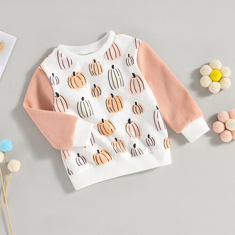 Suefunskry Kids Girls Halloween Sweatshirt Pumpkin Print Contrast Color Long Sleeve Crew Neck Pullovers Spring Fall Casual Tops
Suefunskry Kids Girls Halloween Sweatshirt Pumpkin Print Contrast Color Long Sleeve Crew Neck Pullovers Spring Fall Casual Tops