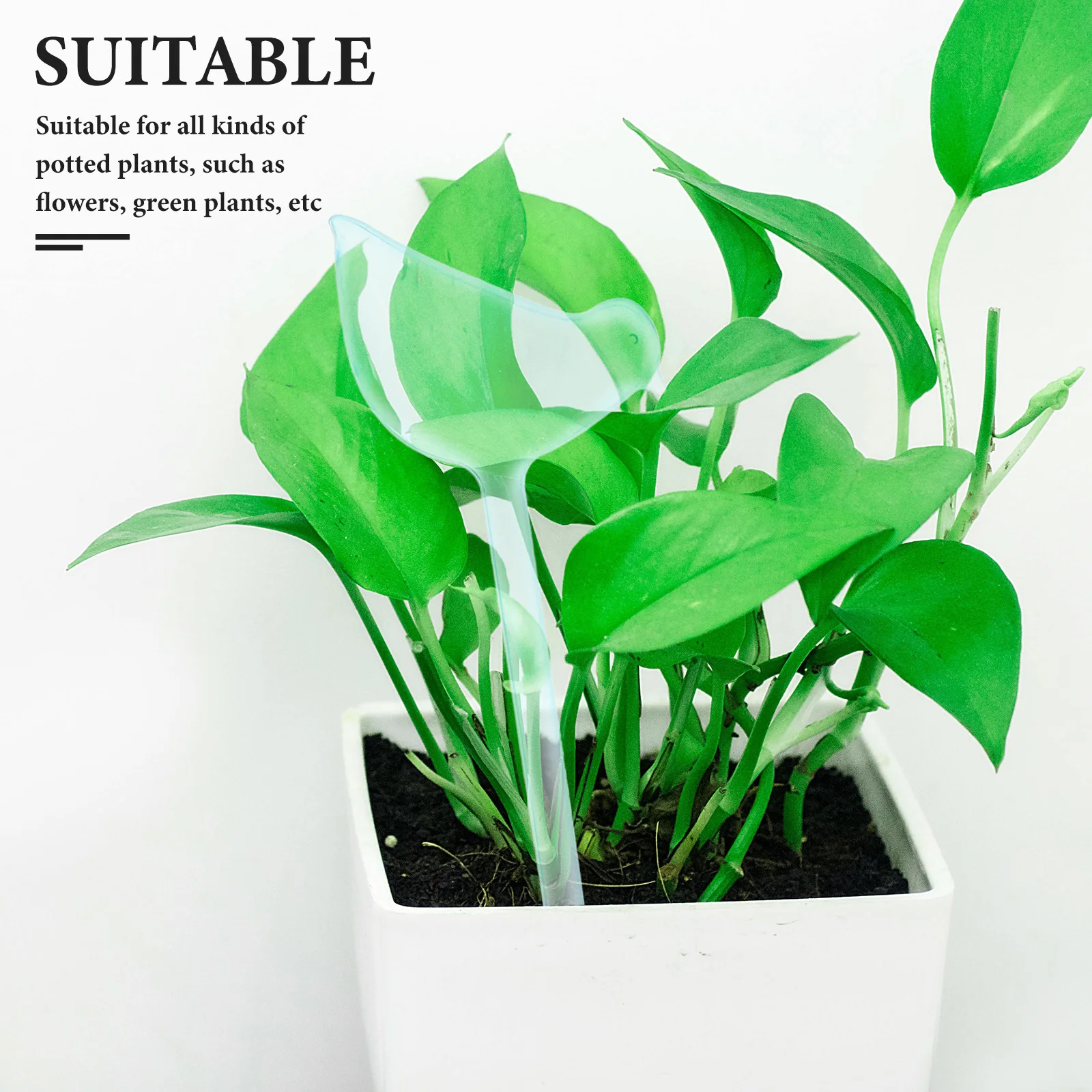 5Pcs Automatic Plant Spikes Self System for Indoor Outdoor Plants Garden Irrigation Device Plant Waterer 
5Pcs Automatic Plant Spikes Self System for Indoor Outdoor Plants Garden Irrigation Device Plant Waterer