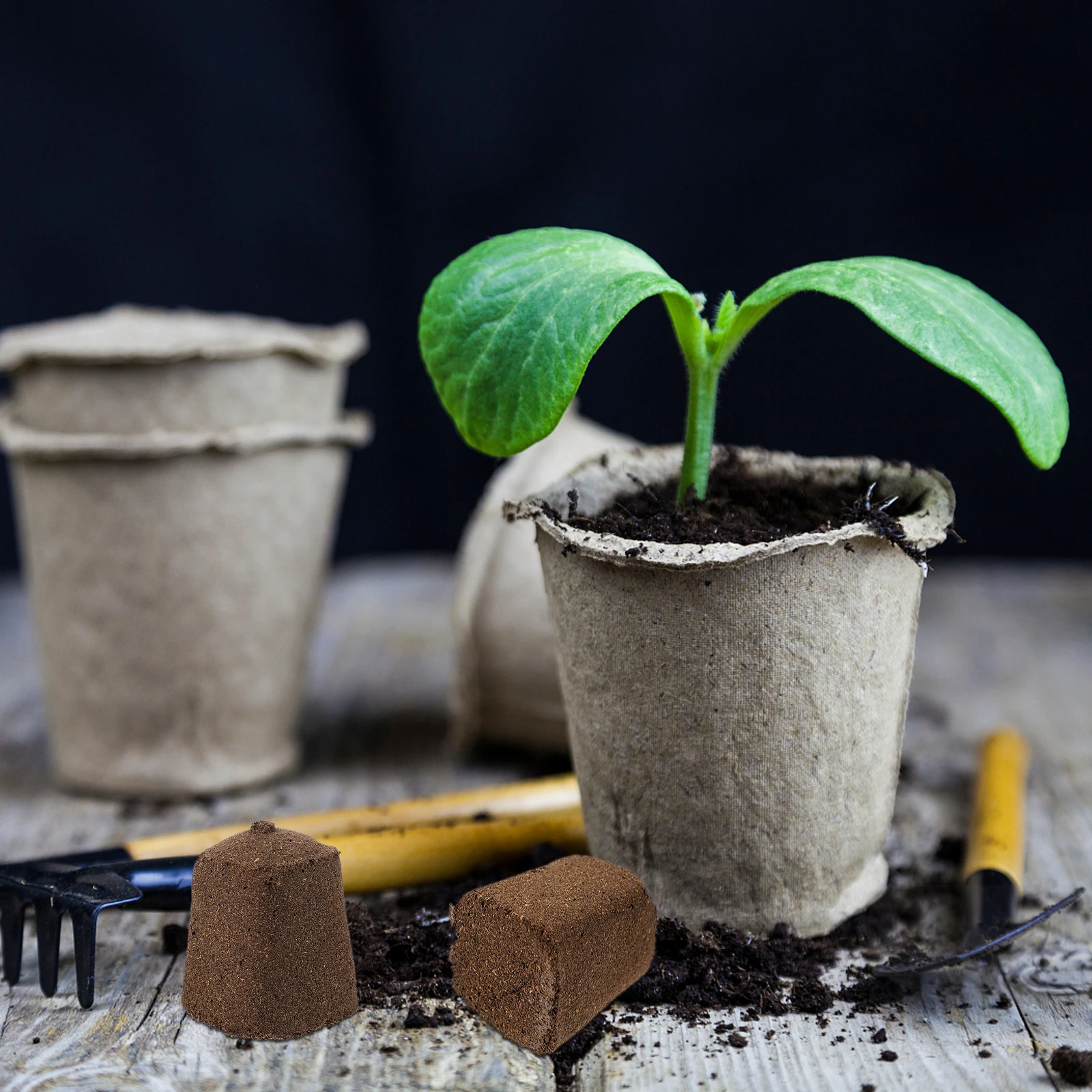 10 Pcs 30x30x40mm Seedling Block Peat Matrix High Success Rate Transplantation Soilless Cultivation Garden Plant
10 Pcs 30x30x40mm Seedling Block Peat Matrix High Success Rate Transplantation Soilless Cultivation Garden Plant