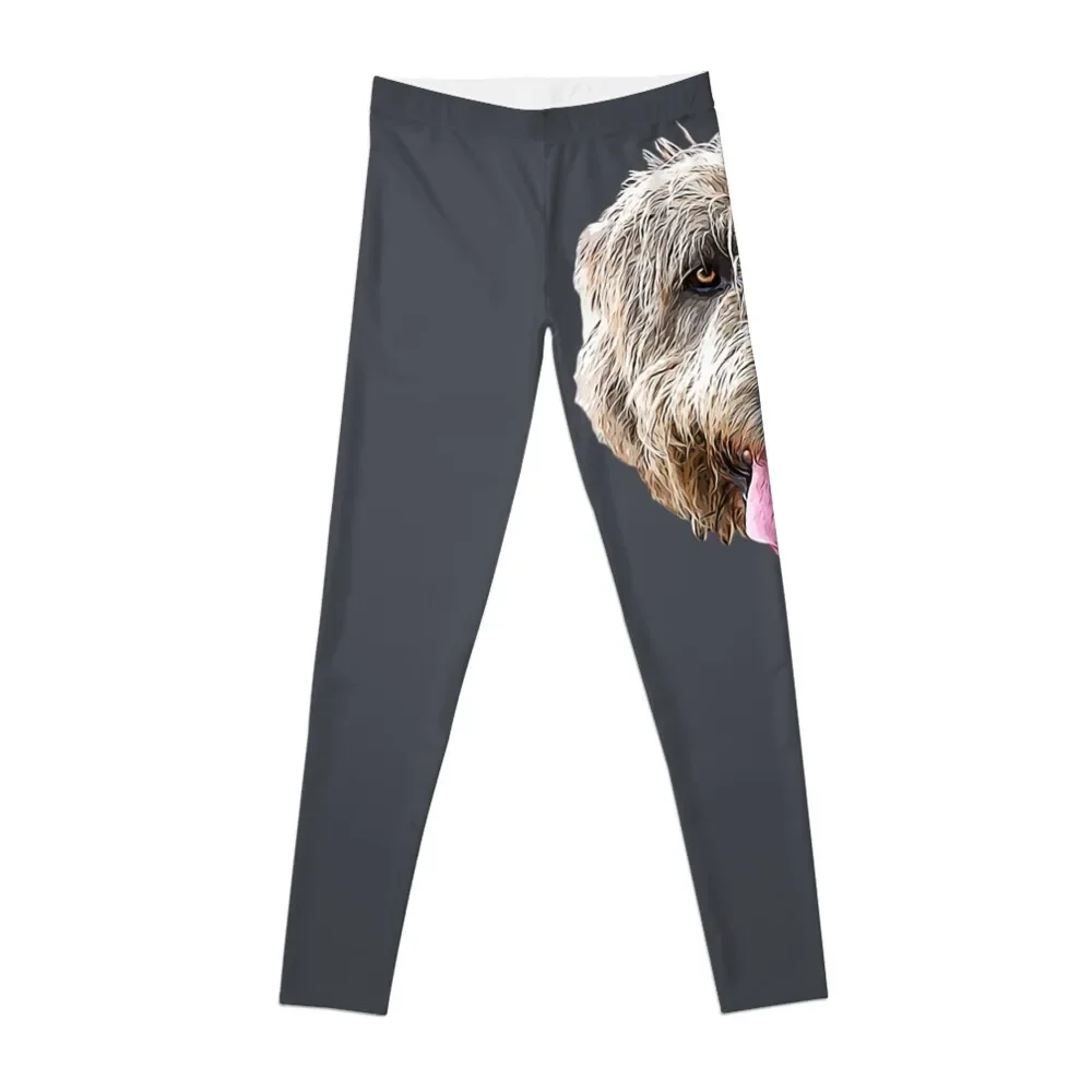 Irish Wolfhound Leggings joggers for sporty woman gym Legging sexy woman gym pants Womens Leggings
Irish Wolfhound Leggings joggers for sporty woman gym Legging sexy woman gym pants Womens Leggings