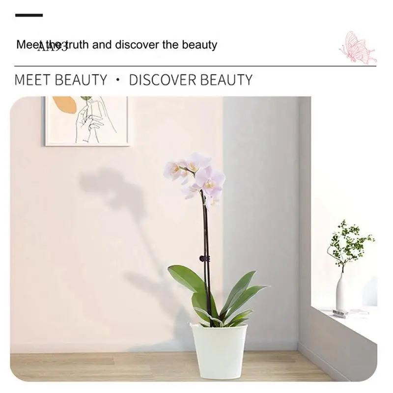 AA-10 Piece Plant Supports For Indoor Plants 50Cm Plant Sticks Support As Shown Bendable Metal Steel
AA-10 Piece Plant Supports For Indoor Plants 50Cm Plant Sticks Support As Shown Bendable Metal Steel