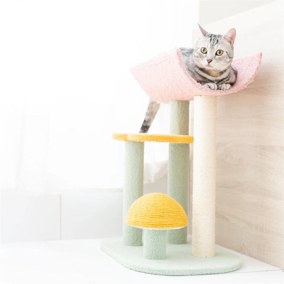 Cheap Cat Tree Ceiling High Decorations Integrated Natural Safety Toys Kawaii Mushroom Cat Rest Tower Tree
Cheap Cat Tree Ceiling High Decorations Integrated Natural Safety Toys Kawaii Mushroom Cat Rest Tower Tree