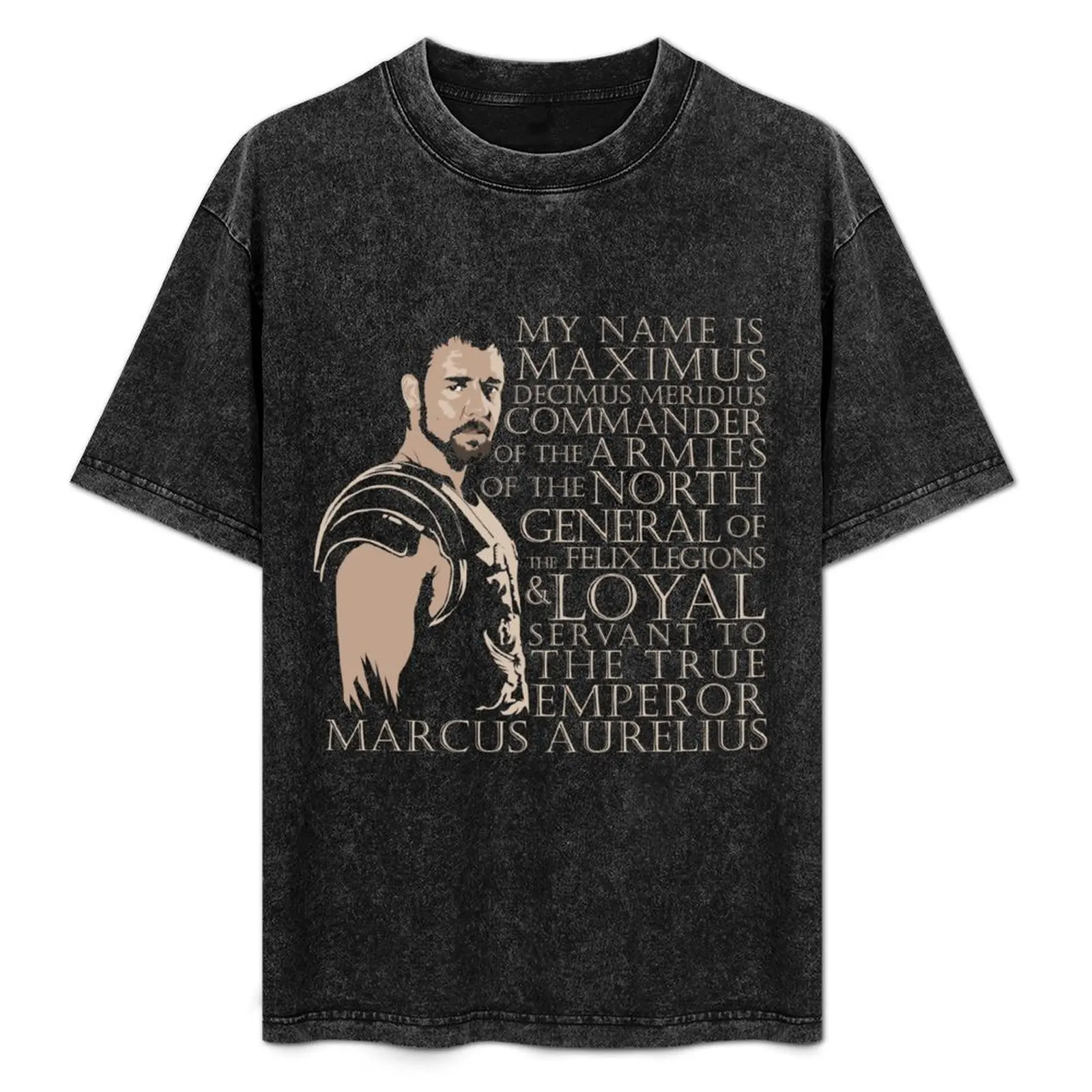 Maximus Decimus T-Shirt Large Size Short Sleeve T-Shirt
Maximus Decimus T-Shirt Large Size Short Sleeve T-Shirt