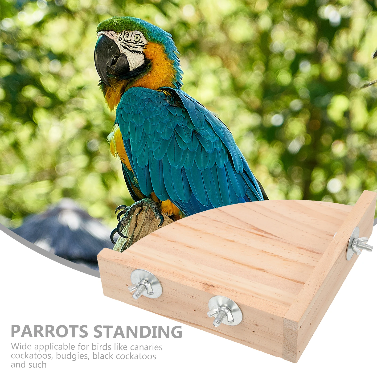 Parrot Perch Wood Bird Small Cage Platform Supplies Play Stand Wooden Stands Large Parrots
Parrot Perch Wood Bird Small Cage Platform Supplies Play Stand Wooden Stands Large Parrots
