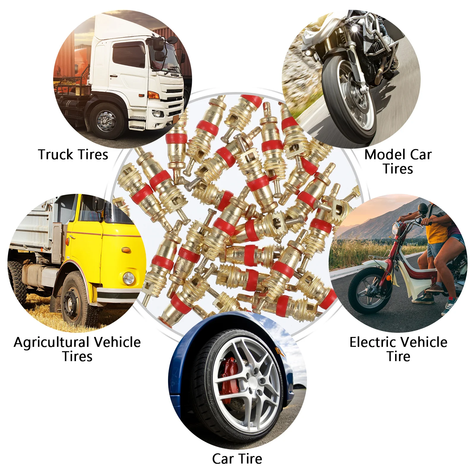 32Pcs Tire Valve Core Wrench Set Durable Auto Car Truck Bike Motorcycle Repair Tool Core Wrench Car Repair Tool
32Pcs Tire Valve Core Wrench Set Durable Auto Car Truck Bike Motorcycle Repair Tool Core Wrench Car Repair Tool