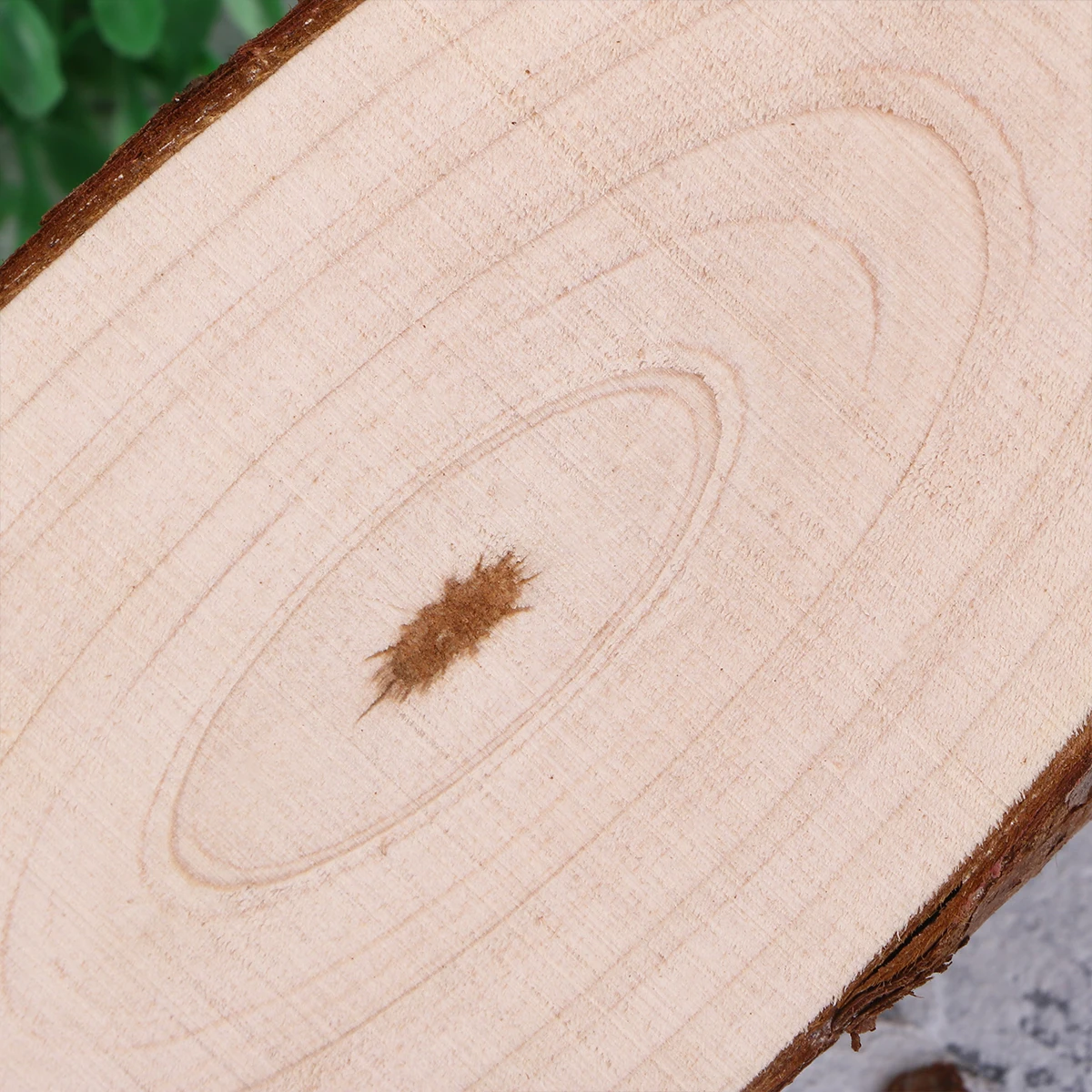 3Pcs Natural Wooden Board Round Wood Slices Polished DIY Craft Decorative Hanging Sign Birthday Wedding Party Ornament
3Pcs Natural Wooden Board Round Wood Slices Polished DIY Craft Decorative Hanging Sign Birthday Wedding Party Ornament