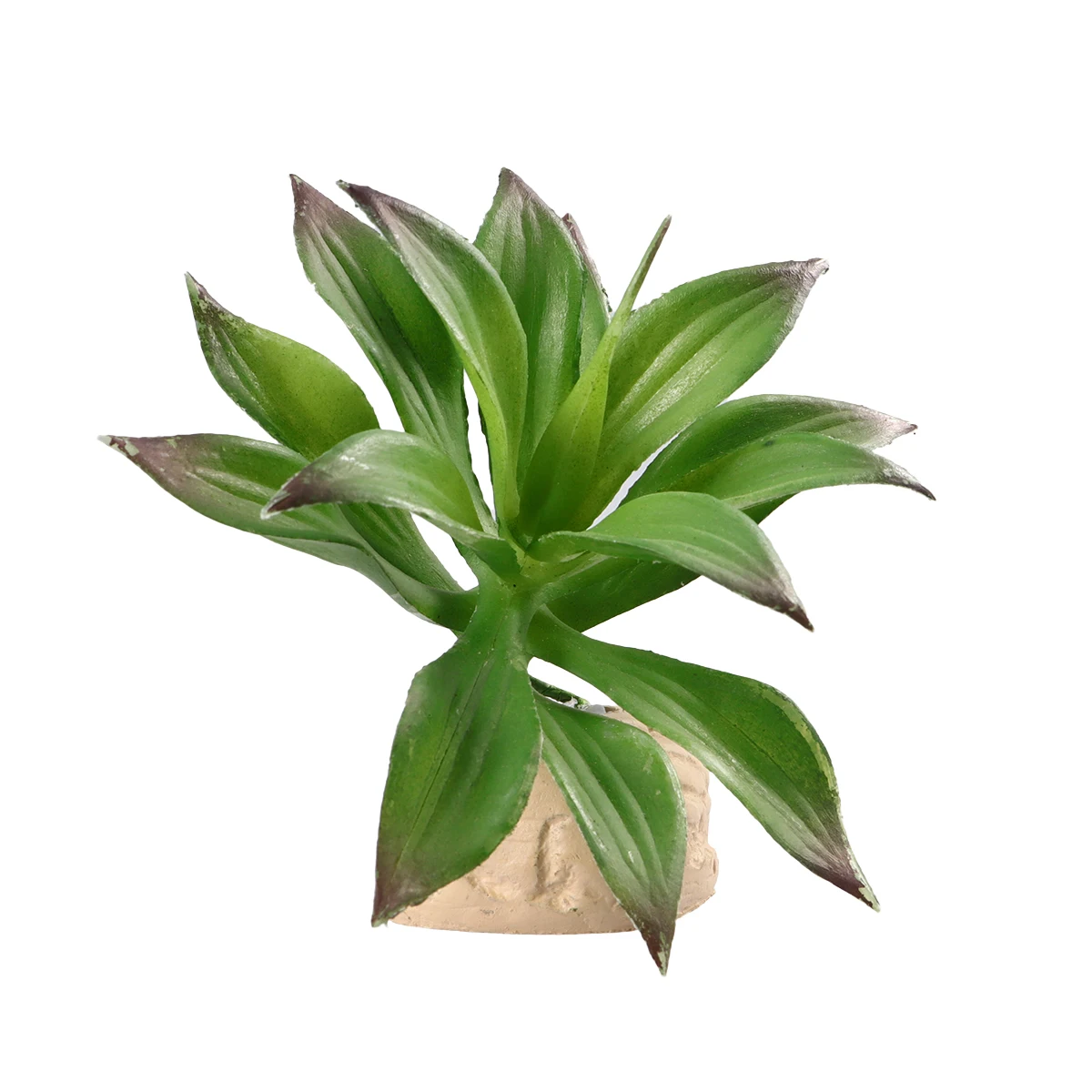 Simulated Potted Terrarium Lifelike Vivid Plant Reptile Tank Decorations Pet Terrarium Reptile Decor Box Plant Decor
Simulated Potted Terrarium Lifelike Vivid Plant Reptile Tank Decorations Pet Terrarium Reptile Decor Box Plant Decor