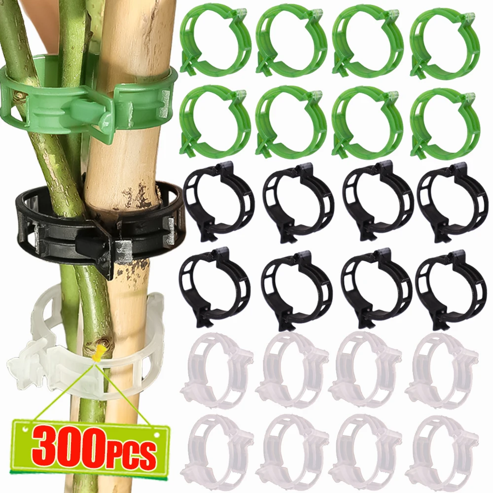 10/300pcs Plastic Plant Support Clips Reusable Vine Protection Clips Vegetable Tomato Grafting Fixing Tool Home Garden Supplies
10/300pcs Plastic Plant Support Clips Reusable Vine Protection Clips Vegetable Tomato Grafting Fixing Tool Home Garden Supplies