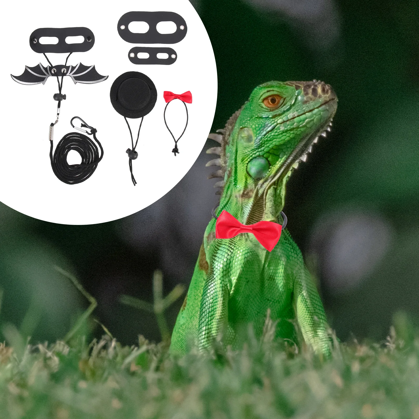 1Set Lizard Harness Leash Adjustable Bow Tie Hat Reptile Cosplay Hat Decoration Pet Costume Bearded Dragon Leash
1Set Lizard Harness Leash Adjustable Bow Tie Hat Reptile Cosplay Hat Decoration Pet Costume Bearded Dragon Leash