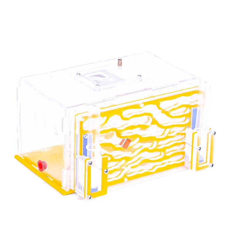 Ant 1231 Acrylic Ant Castle With Dual Hydration System - 19.5cm Ant Farm With Feeding Area & Light-Blocking Design
Ant 1231 Acrylic Ant Castle With Dual Hydration System - 19.5cm Ant Farm With Feeding Area & Light-Blocking Design