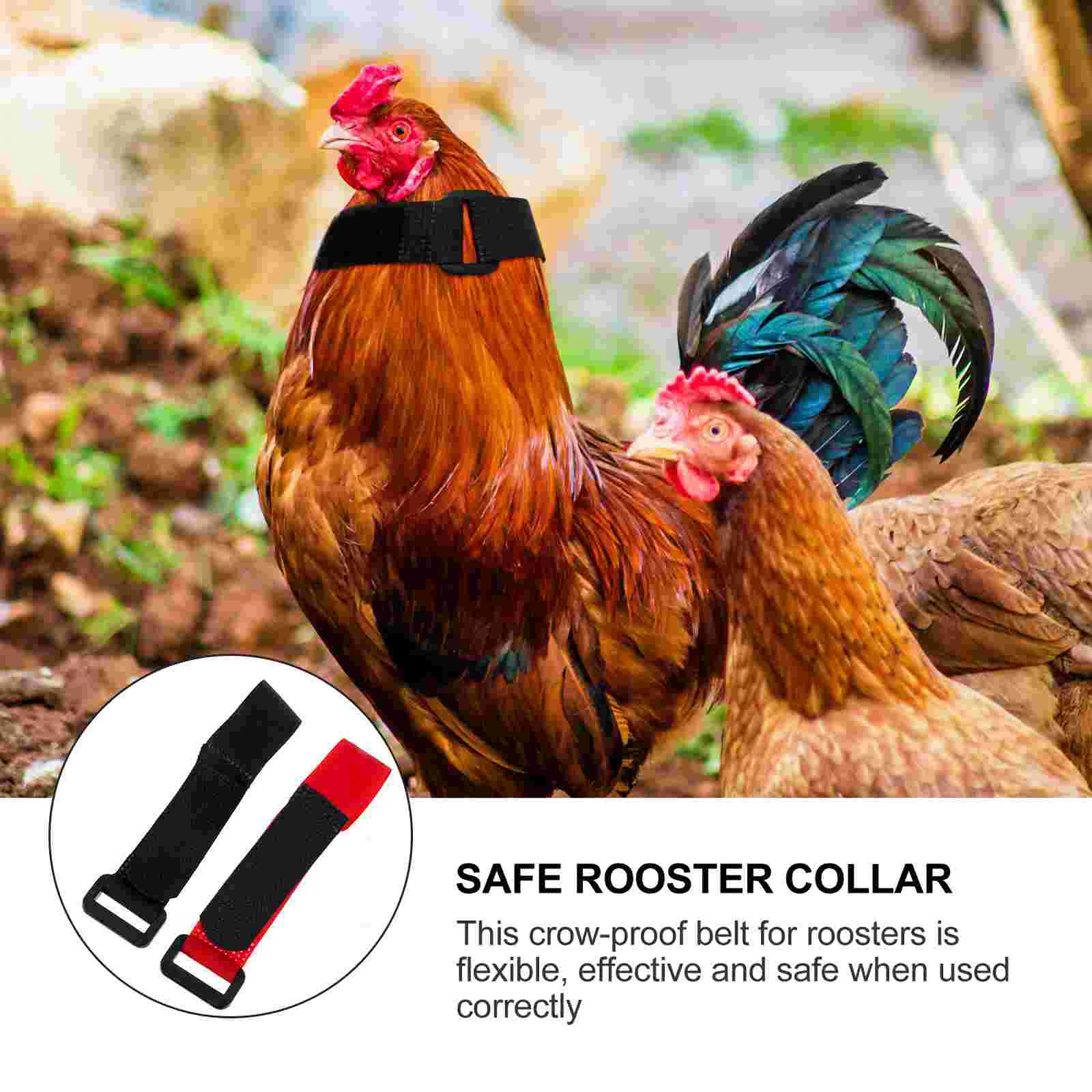 4pcs Anti crowing Rooster Collar Safe Nylon Poultry Supply Adjustable Noise Free Practical Durability Soft lasting
4pcs Anti crowing Rooster Collar Safe Nylon Poultry Supply Adjustable Noise Free Practical Durability Soft lasting